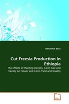 Tewodros Bezu - Cut Freesia Production in Ethiopia