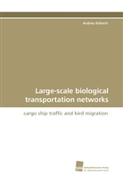 Andrea Kölzsch - Large-scale biological transportation networks
