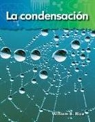 William Rice, William B Rice, William B. Rice - La Condensación