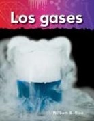 William Rice, William B Rice, William B. Rice - Los Gases