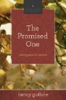 Nancy Guthrie - The Promised One