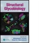 Elizabeth (EDT)/ Ramsland Yuriev, Elizabeth (Monash Institute of Pharmaceuti Yuriev, Elizabeth Ramsland Yuriev, Paul A. Ramsland, Ramsland Paul A., Elizabeth Yuriev... - Structural Glycobiology