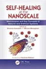 Vincenzo Amendola, Vincenzo (EDT)/ Meneghetti Amendola, Vincenzo (Universita DI Padova Amendola, Vincenzo Meneghetti Amendola, Vincenzo Amendola, Vincenzo Amendola... - Self-Healing At the Nanoscale
