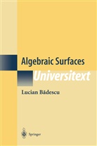 Lucian Badescu, Lucian Silvestru Badescu, V. Masek - Algebraic Surfaces