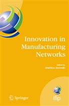 Améric Azevedo, Americo Azevedo, Américo Azevedo - Innovation in Manufacturing Networks