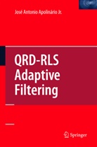 Jose Apolinario, José Antonio Apolinário, JOS APOLINARIO JR, JOSE APOLINARIO JR, JOSE ANTONIO APOLINARIO JR - QRD-RLS Adaptive Filtering