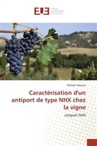 Mohsen Hanana, Hanana-M - Caracterisation d un antiport de