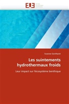 Swanne Gontharet, Gontharet-S - Les suintements hydrothermaux froid