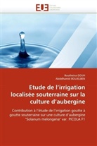 Abdelhamid Boujelben, COLLECTIF, Bouthein DOUH, Boutheina Douh - Etude de l irrigation localisee