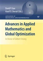 D Sherali, D Sherali, David Gao, David Y. Gao, Hanif D. Sherali, Davi Y Gao... - Advances in Applied Mathematics and Global Optimization