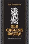 Jun Terasawa - Old English Metre