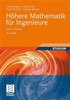 Klemens Burg, Herbert Haf, Friedrich Wille - Höhere Mathematik für Ingenieure - Bd.I: Analysis