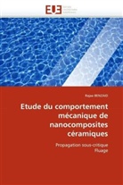 Rajaa BENZAID, Benzaid-R - Etude du comportement mecanique
