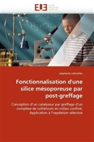Stephanie Calmettes, Calmettes-S - Fonctionnalisation d une silice