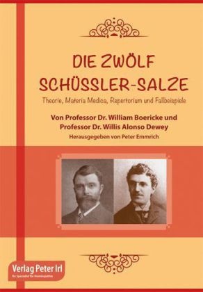 William Boericke, Willis A. Dewey, Willis Alonso Dewey, Peter Emmrich - Die zwölf Schüssler-Salze Theorie Materia Medica Repertorium und Fallbeispiele