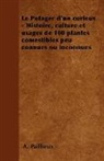 A. Paillieux - Le Potager D'Un Curieux - Histoire, Culture Et Usages de 100 Plantes Comestibles Peu Connues Ou Inconnues