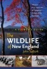 John S Burk, John S. Burk - The Wildlife of New England