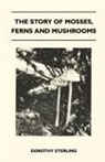 Dorothy Sterling - The Story of Mosses, Ferns and Mushrooms