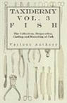 Various - Taxidermy Vol. 3 Fish - The Collection, Preparation, Casting and Mounting of Fish