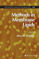 Alex Dopico, Ale Dopico, Alex Dopico, Alex M. Dopico, Alex M. Dopico MD Phd - Methods in Membrane Lipids