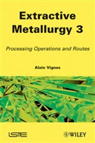 Alain Vignes - Industrial Technology in Extractive Metallurgy