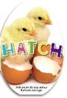 Katie Cox - Hatch