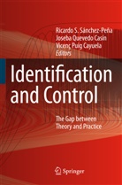 Vicenç Puig Cayuela, Joseb Quevedo Casín, Joseba Quevedo Casín, Ricardo S. Sánchez-Peña - Identification and Control