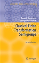 Olexand Ganyushkin, Olexandr Ganyushkin, Volodymyr Mazorchuk - Classical Finite Transformation Semigroups