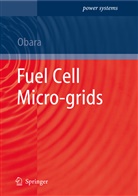 Shin Obara, Shin Ya Obara, Shin’ya Obara, Shinya Obara, Shin'ya Obara - Fuel Cell Micro-grids