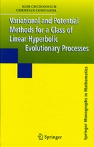Igor Chudinovich - Variational and Potential Methods for a Class of Linear Hyperbolic Evolutionary Processes