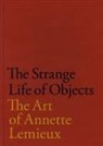 Lelia Amalfitano, Lelia/ Fox Amalfitano, Judith Hoos Fox, Annette LeMieux - The Strange Life of Objects