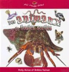 Molly Aloian - Des Animaux de Toutes Sortes