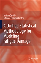 Enriqu Castillo, Enrique Castillo, Alfonso Fernandez-Canteli - A Unified Statistical Methodology for Modeling Fatigue Damage