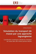 Anthony Beaudoin, Beaudoin-a - Simulation du transport de masse