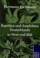 Hermann Lachmann - Reptilien und Amphibien Deutschlands in Wort und Bild