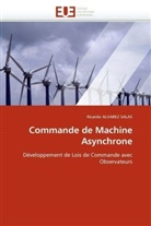 Ricardo Alvarez Salas, Alvarez Salas-R - Commande de machine asynchrone