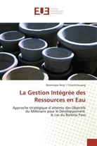 Dominique Perry Tchantchouang, Dominique Perry 1 Tchantchouang, Tchantchouang-D - La gestion integree des