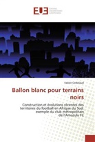 Fabien Cerbelaud, Cerbelaud-F - Ballon blanc pour terrains noirs