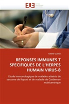 Amélie Guihot, Guihot-A - Reponses immunes t specifiques de