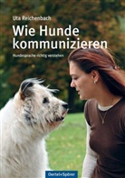 Uta Reichenbach - Wie Hunde kommunizieren