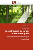 Thomas Aparicio, Collectif, Mélani GAUTHIER, Mélanie Gauthier, Azi ZAANAN, Aziz Zaanan - Chimiotherapie du cancer de l