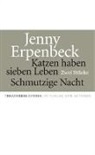 Jenny Erpenbeck - Katzen haben sieben Leben Schmutzige Nacht