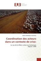 Denis P. Folefack, Denis Pompidou Folefack, Pompidou Folefack-D - Coordination des acteurs dans un