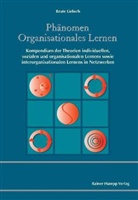 Beate Liebsch - Phänomen Organisationales Lernen