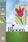 Zondervan, Zondervan, Zondervan Publishing House (COR), Zondervan Bibles - Holy Bible