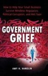 Amy Handlin, Amy H. Handlin - Government Grief