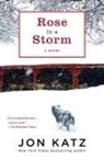 Jon Katz - Rose in a Storm