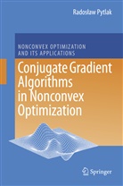 Radoslaw Pytlak - Conjugate Gradient Algorithms in Nonconvex Optimization