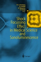 Hans Grönig, Diete Leutloff, Dieter Leutloff, Ramesh C. Srivastava, Kazuyashi Takayama, Kazuyoshi Takayama... - Shock Focussing Effect in Medical Science and Sonoluminescence