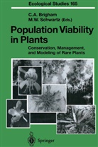 Christ A Brigham, Christy A Brigham, Christy A. Brigham, Mark W. Schwartz, W Schwartz, W Schwartz - Population Viability in Plants